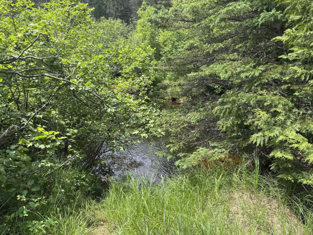 Townline photo 6