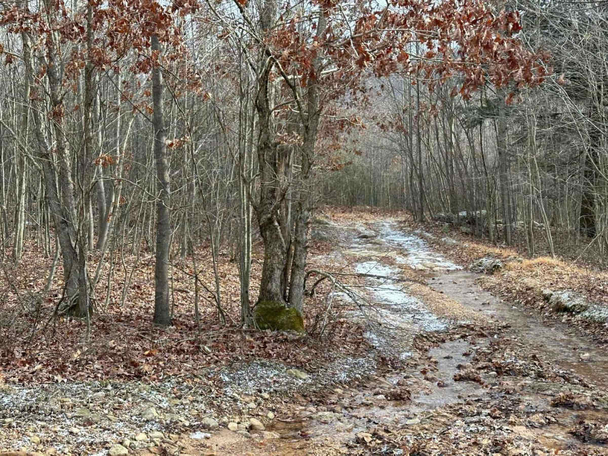 3A trail photo