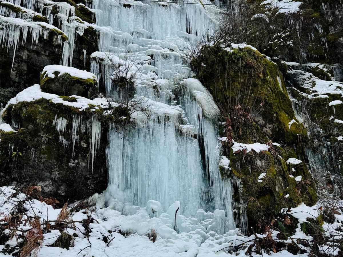 Squamish River FSR photo 6