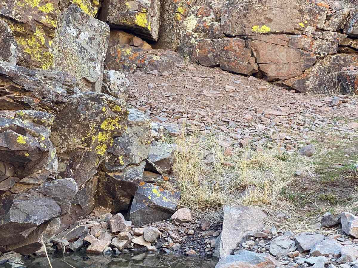 Spanish Springs Petroglyphs photo 3