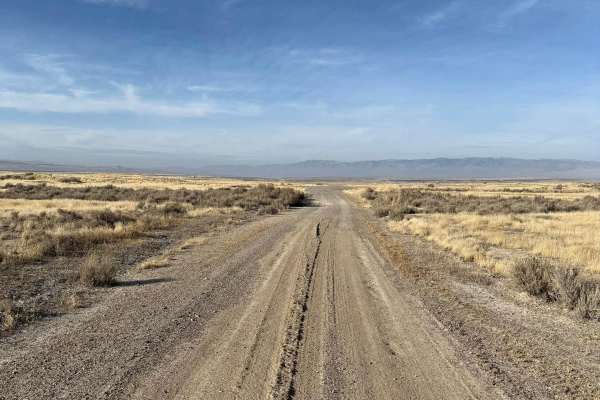 Board Ranch Road