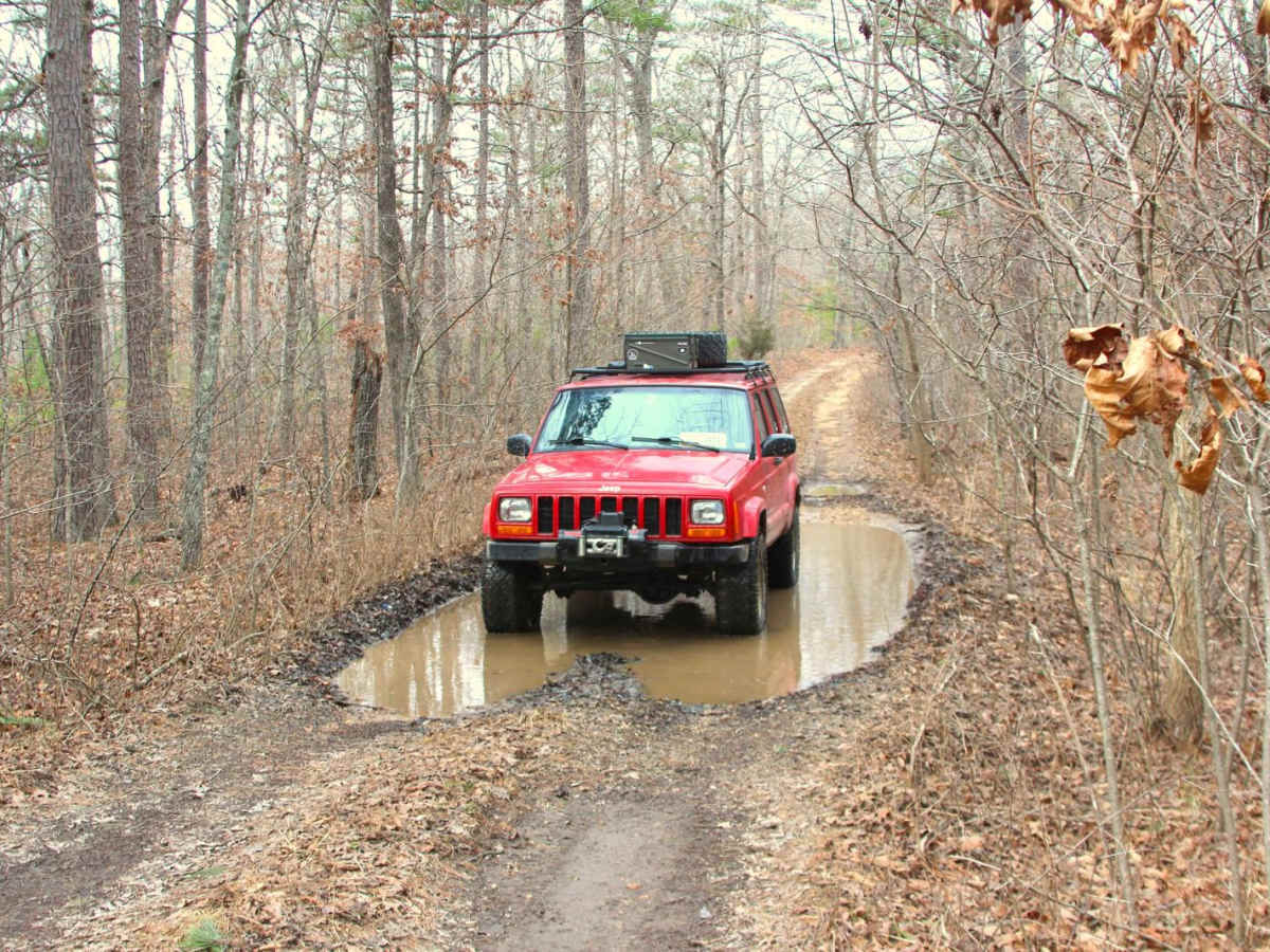 Trace Branch - FS 2225 trail photo