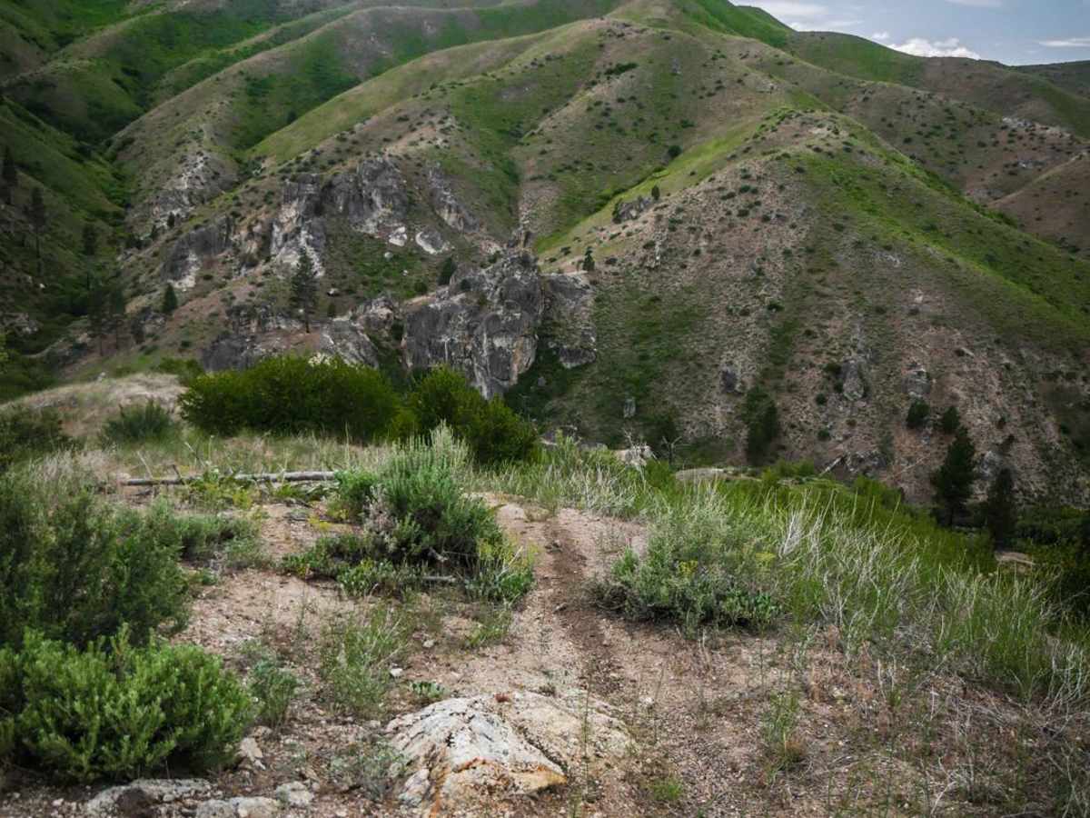 403 trail photo
