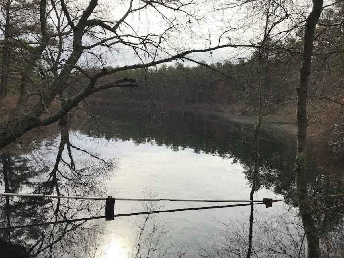 Eagle Trail photo 4