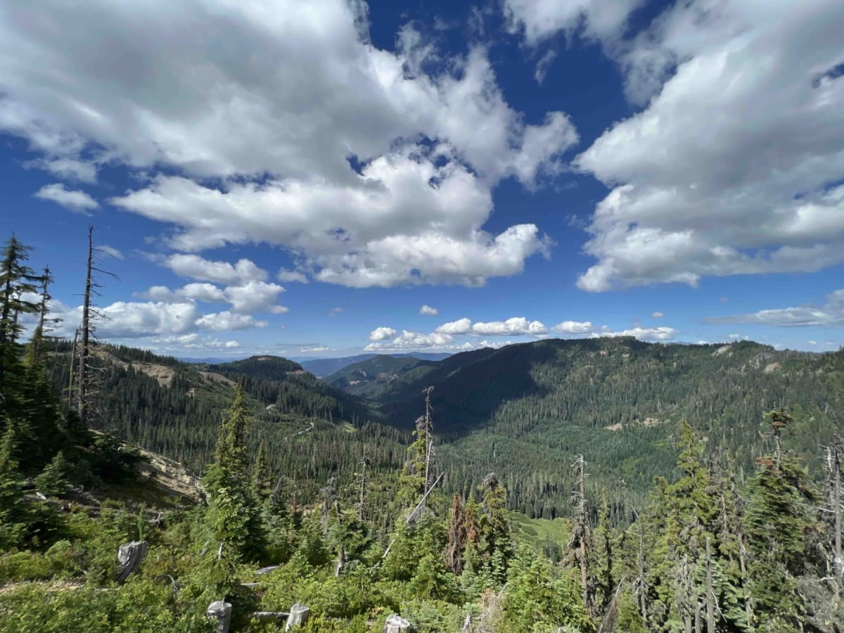 Timpanogas 2154 photo 4