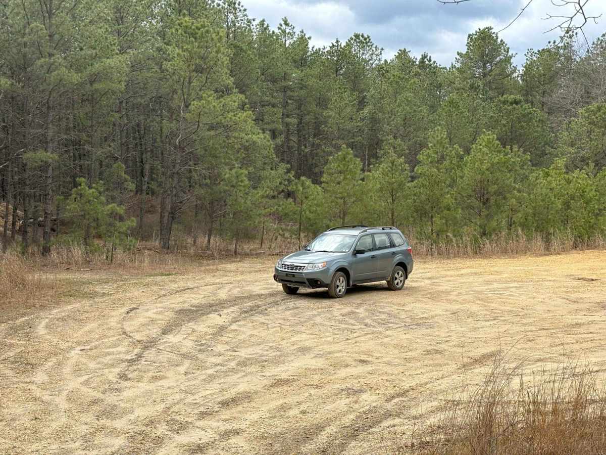 Bryant to Hays Road photo 4