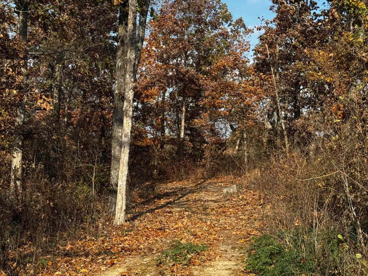 X3 Hill photo 4