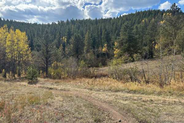 Spring Gulch - 102J