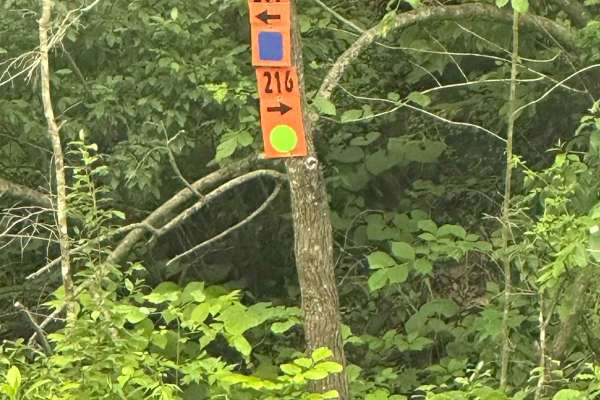 216