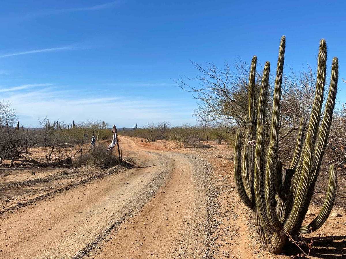 Rancho El Ademado Road photo 3
