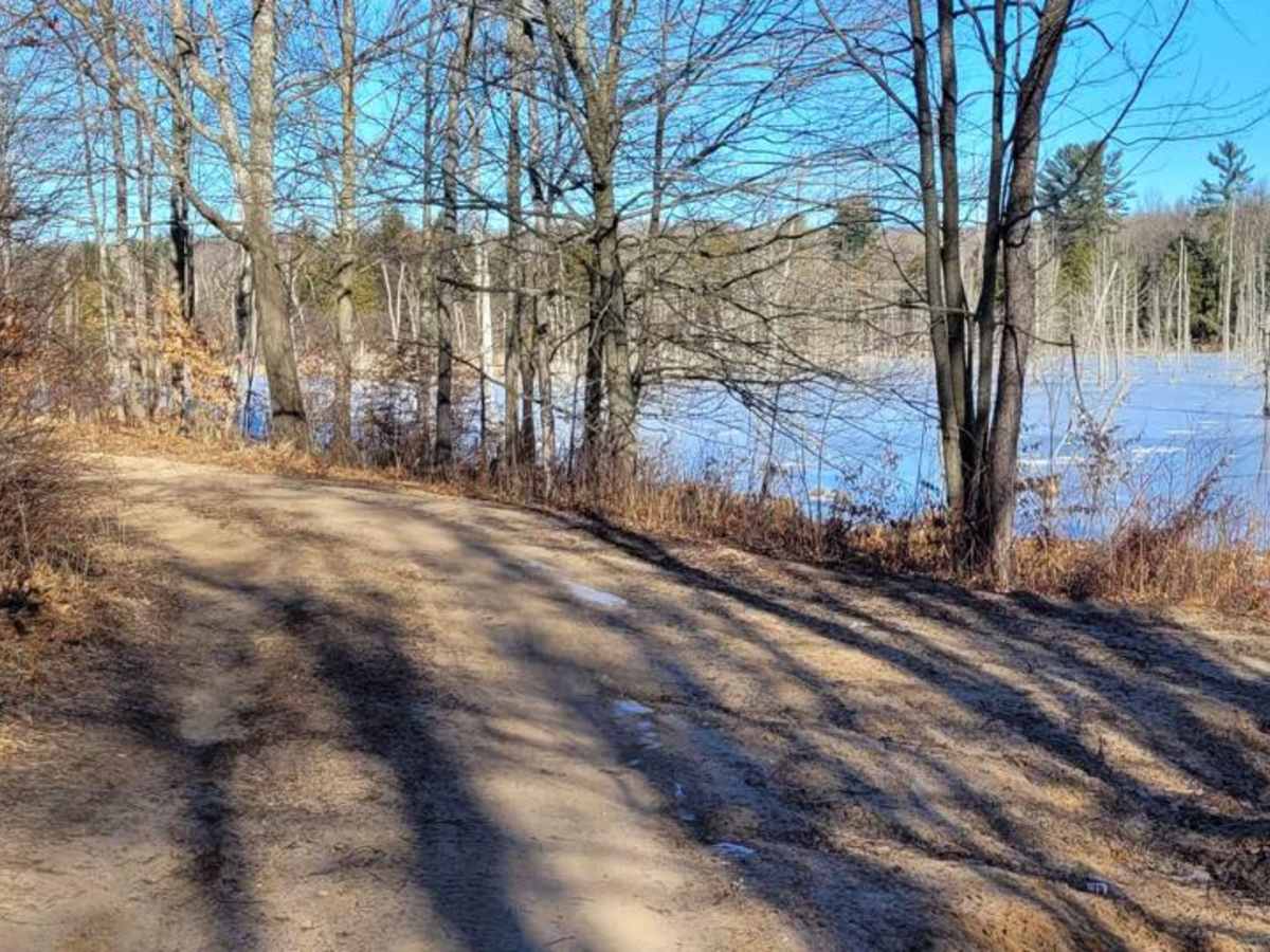 Evart to Sunrise Lake Trail photo 4