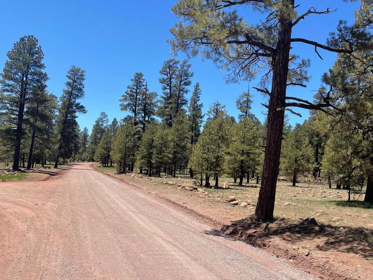 Stoneman Lake Road photo 3