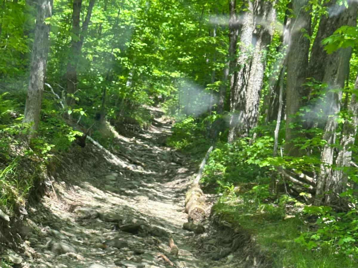 Mason Hill photo 2