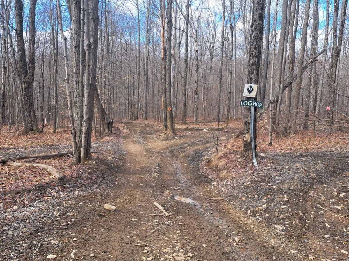 Log Hop trail photo