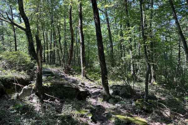 Red Single Track - B