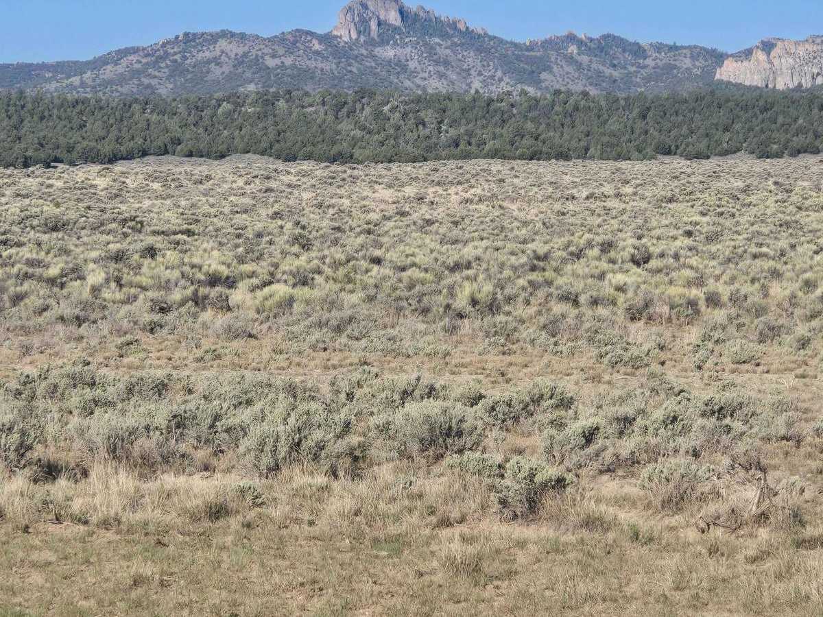 Prospector Trail photo 4