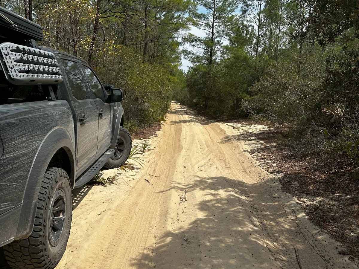 ONF Trail 17-2.6 trail photo
