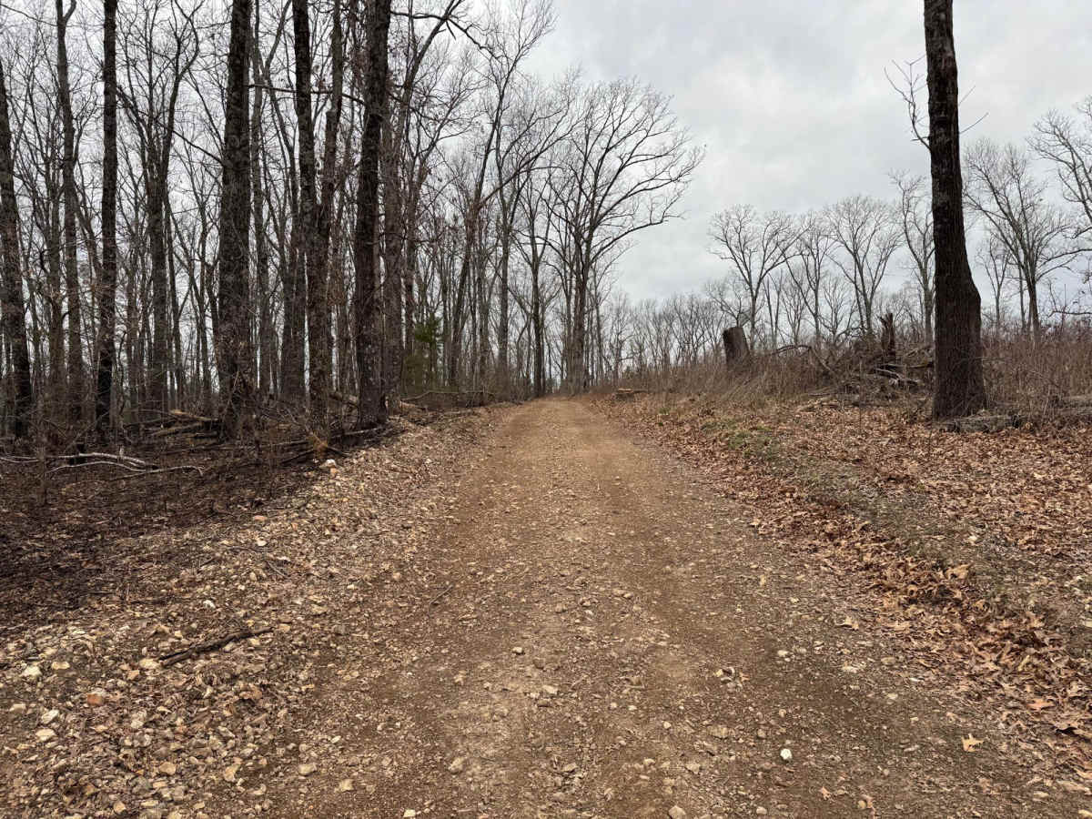 Wildcat Road photo 5