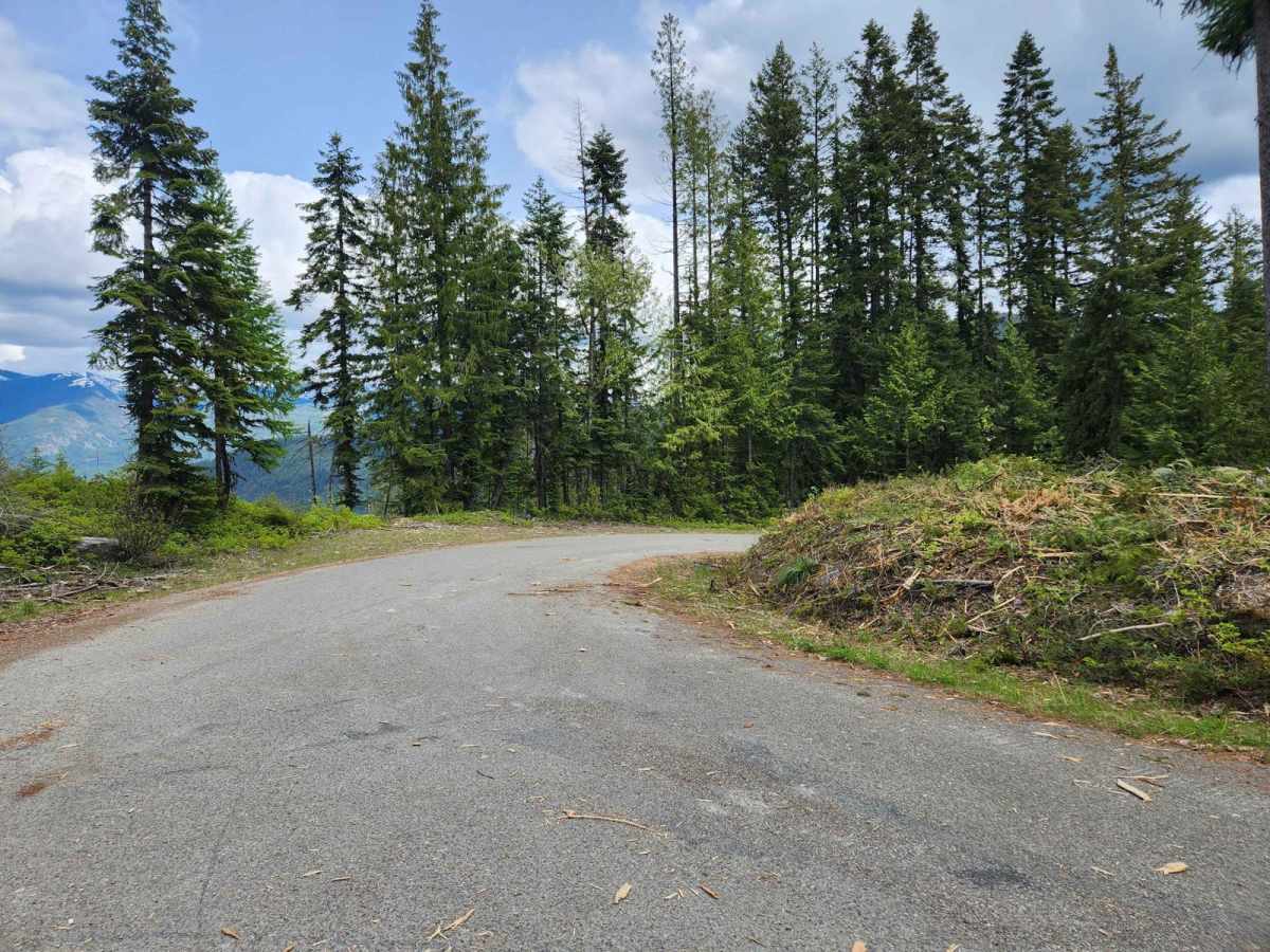 Spar Lake Road photo 6