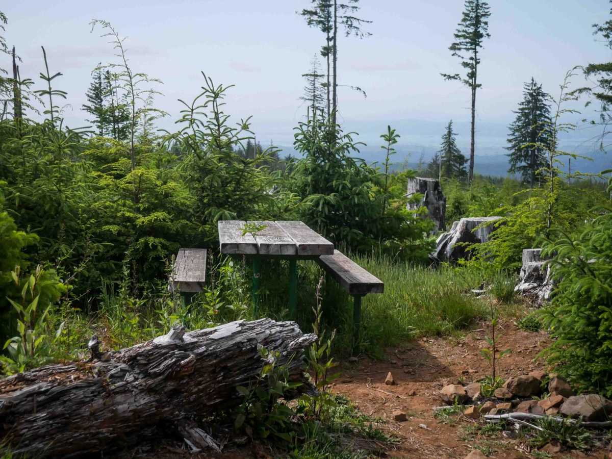 McNary Loop trail photo