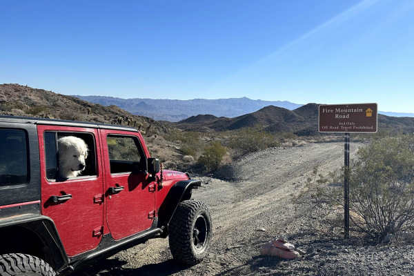 Fire Mountain Road