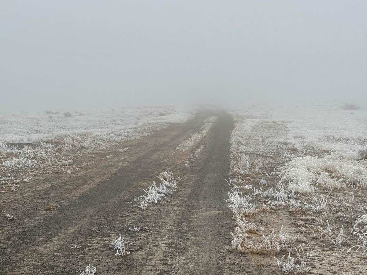 Hogup Finger Road trail photo