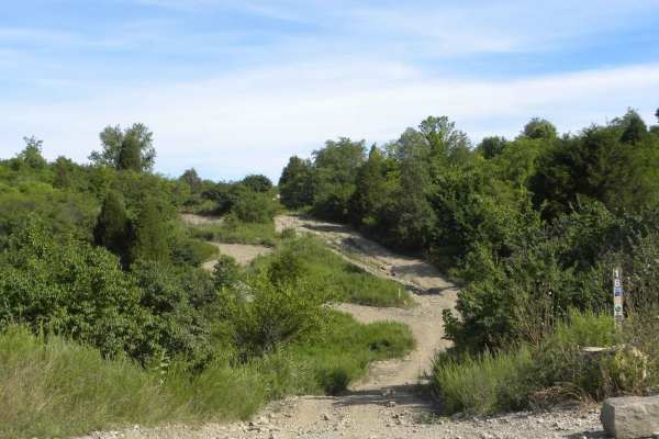 Trail 1B (Intermediate)