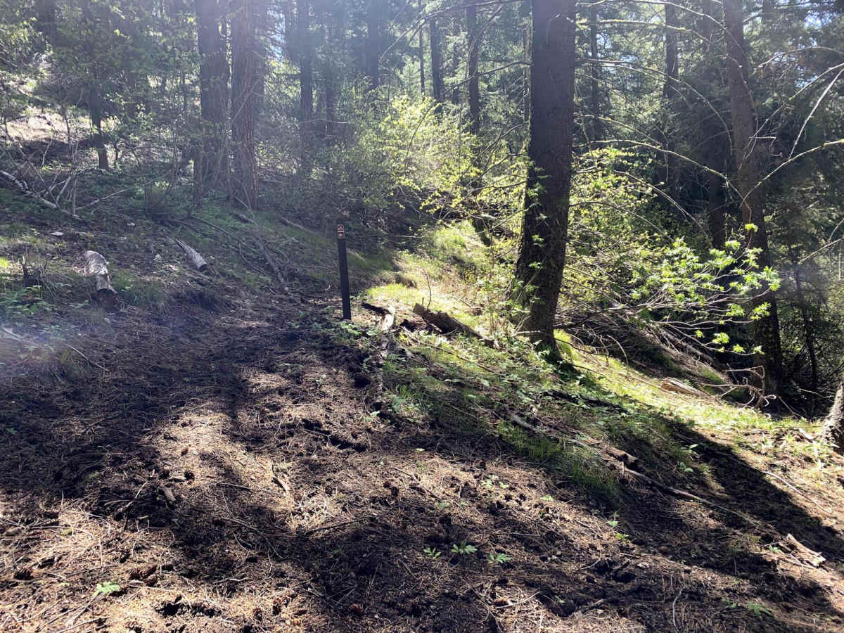 Lupine Gulch trail photo
