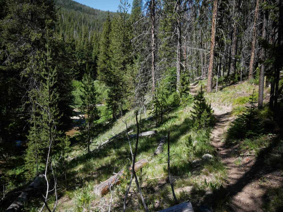 Shields Creek photo 6
