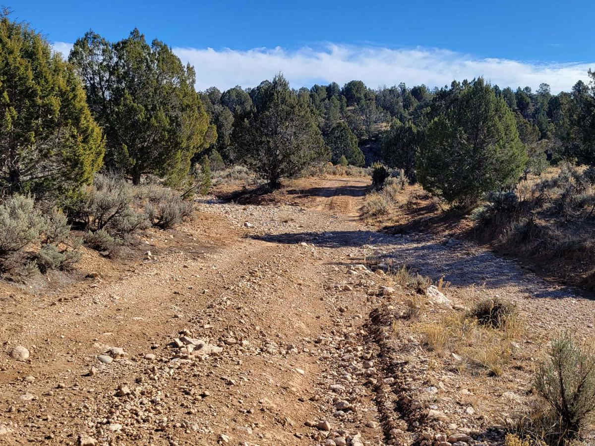 Grassy Point Road - BLM 1046 photo 3