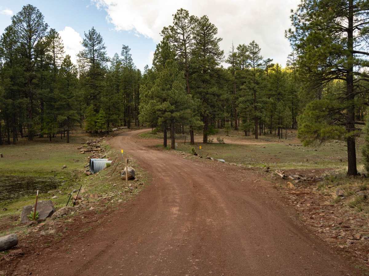 Schnebly Hill Road photo 3