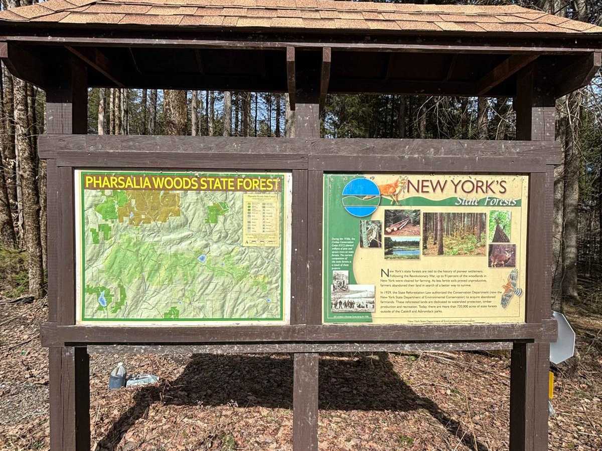 Old CCC Truck Trail trail photo