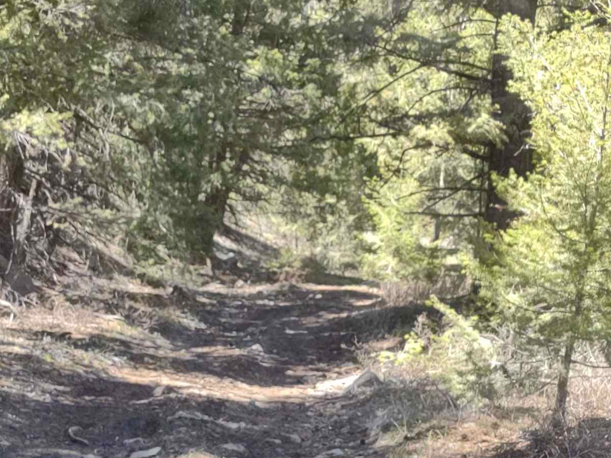 Blaze Canyon to Windy Devil photo 3