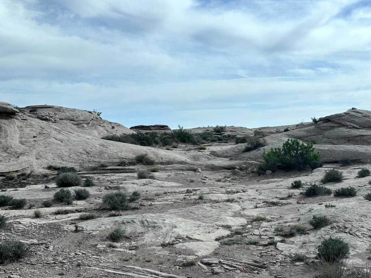 Ten Mile Point Road photo 2
