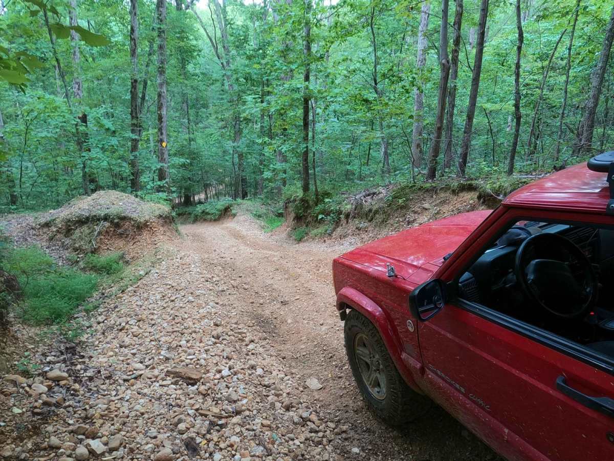 Mushroom Trail - 5 to C Shortcut photo 4
