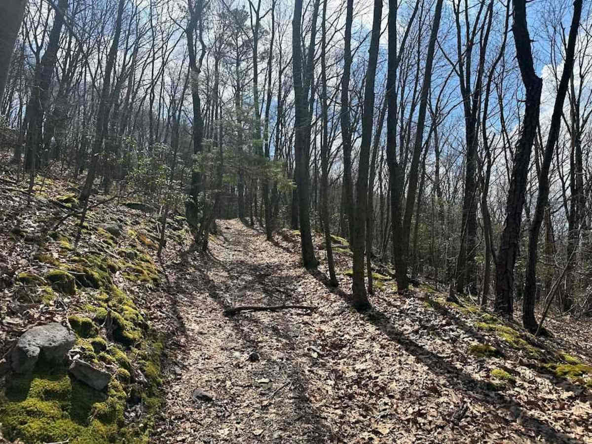 Ashland 123 trail photo