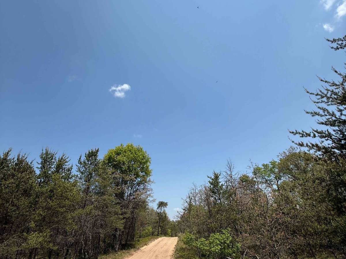 Shaker Trail photo 3