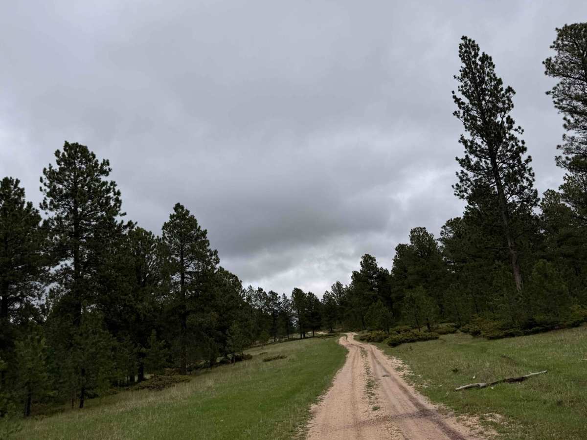 Bear Run photo 2