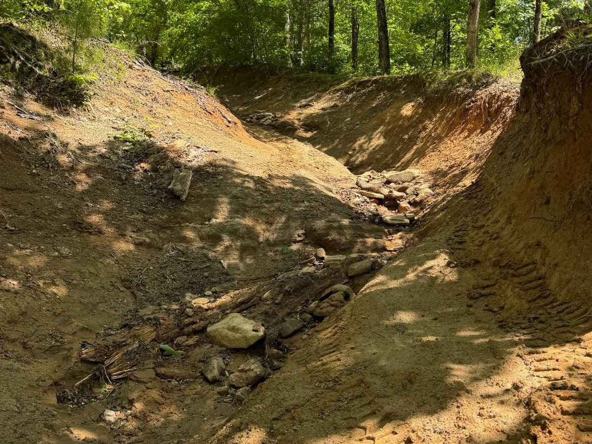 Radical Ravine photo 3