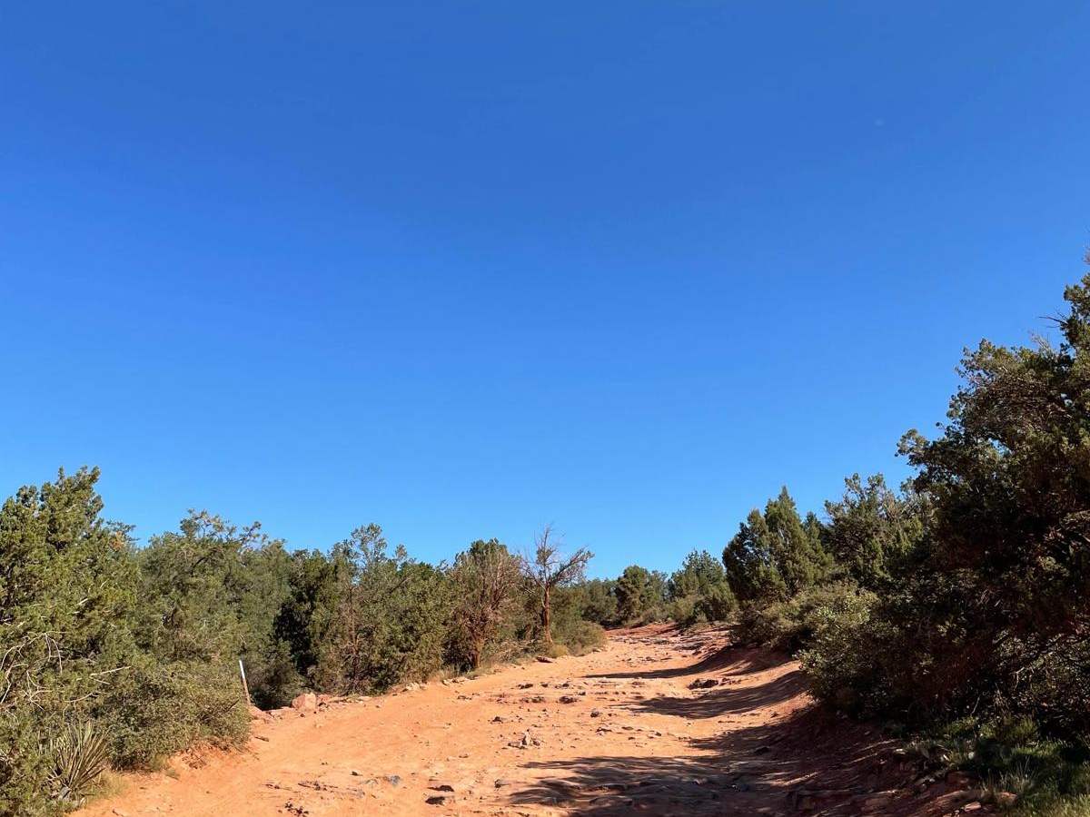 Road to Devil's Bridge & Van Deren Cabin photo 5
