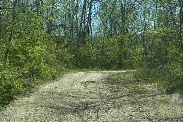 Mary's Wild Horse Trail