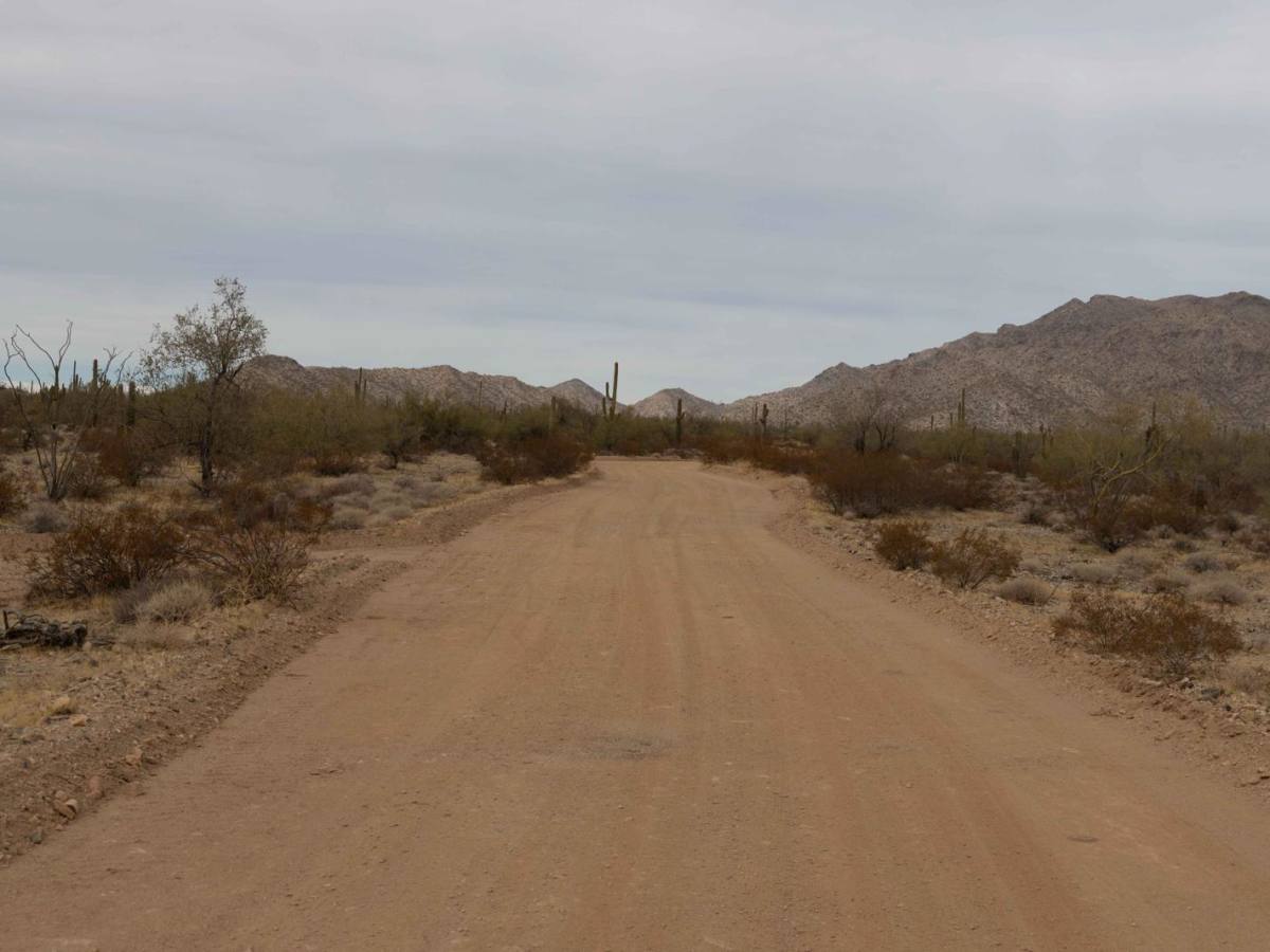 Rattlesnake Road photo 5