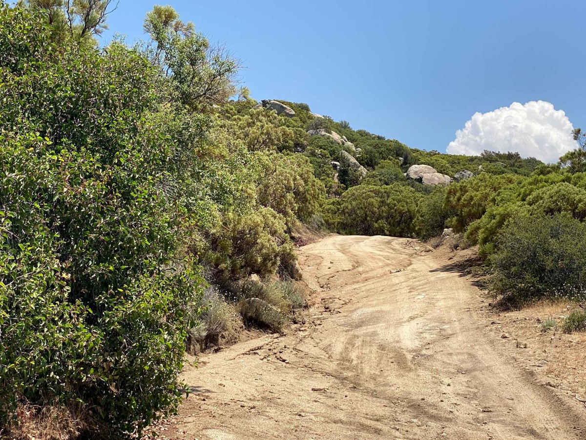 Road to Four Ranches photo 6