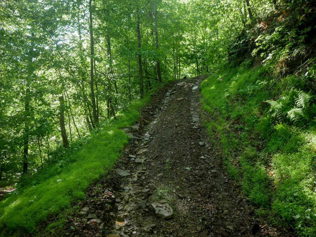 CC77 trail photo