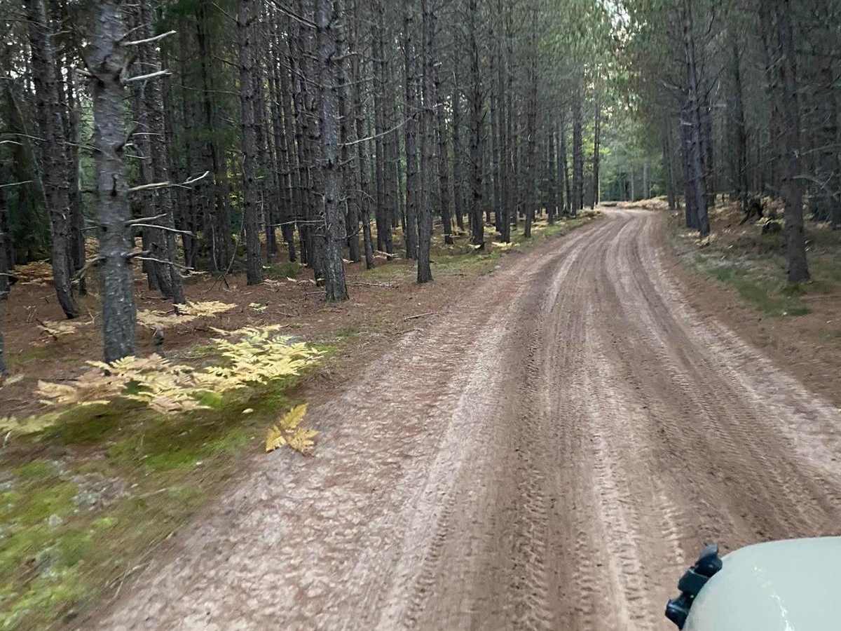 Trail 7 to Buckhorn Resort - Part 11 photo 6