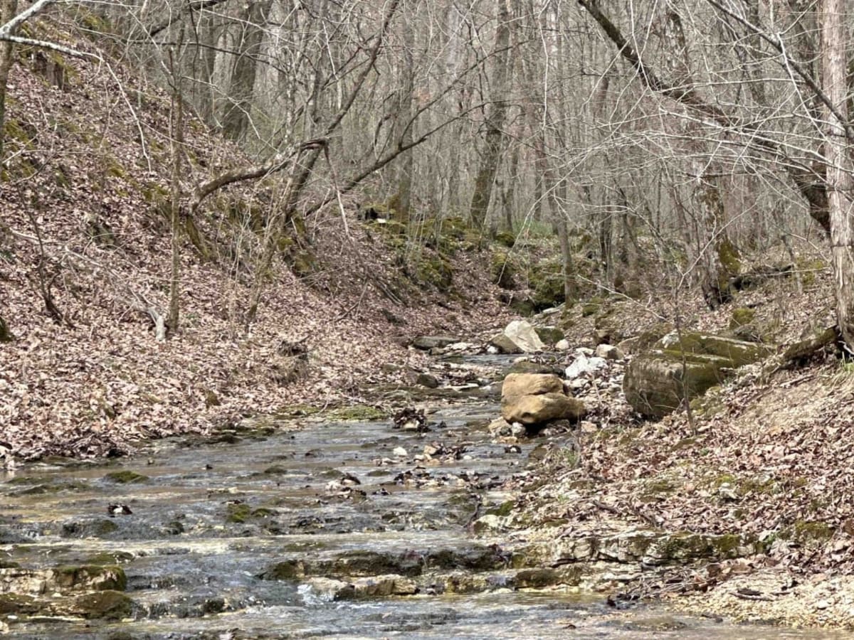 Bald Road to Western Road trail photo