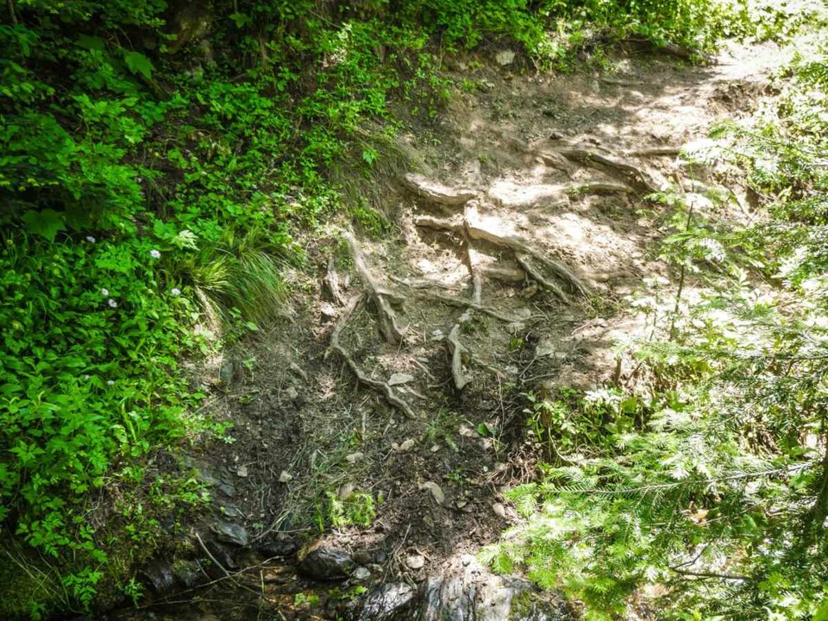 Dam Creek photo 5