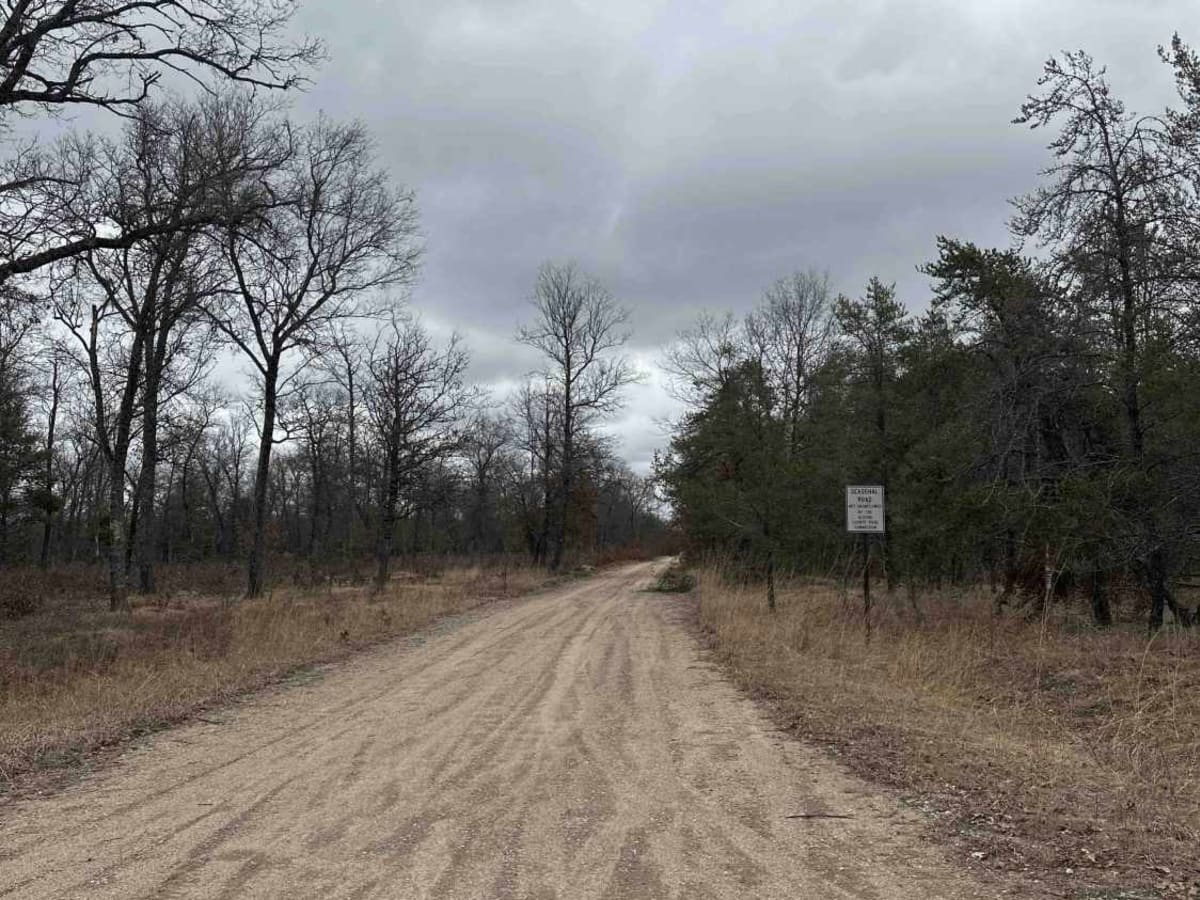 FS 4763 trail photo