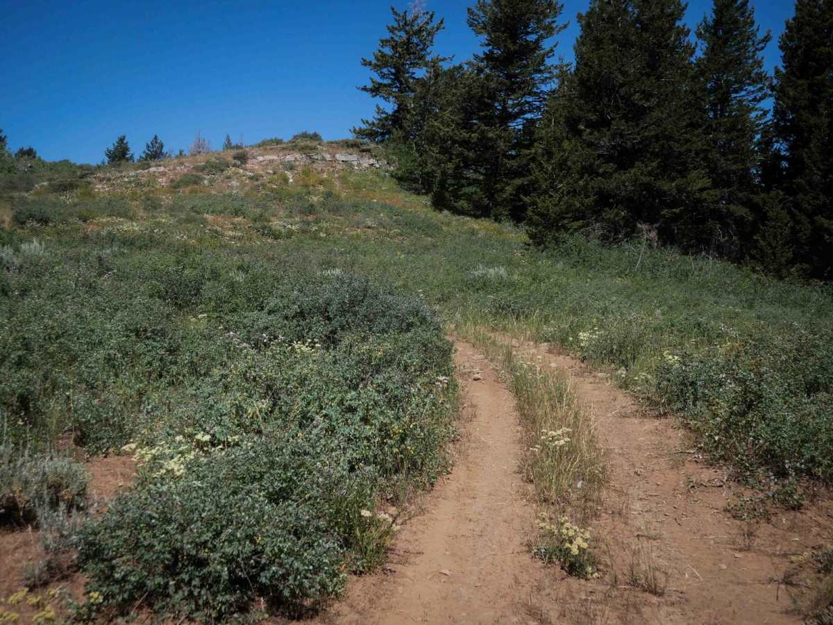 Wood Canyon Loop #5249  photo 3