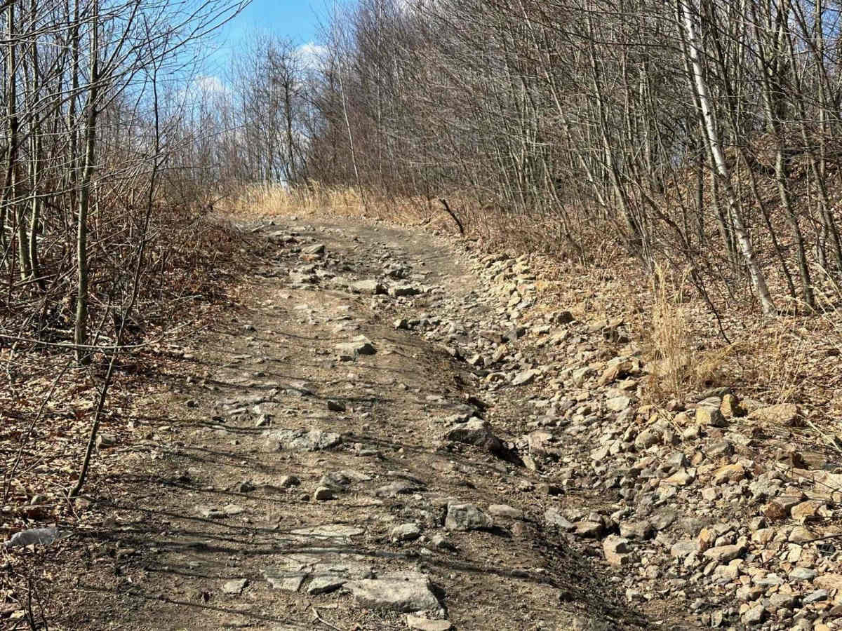 Locust Gap 48 photo 2